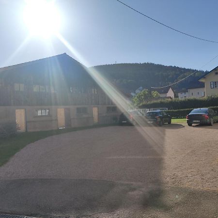 Le Cozy Nest Daire Gérardmer Dış mekan fotoğraf